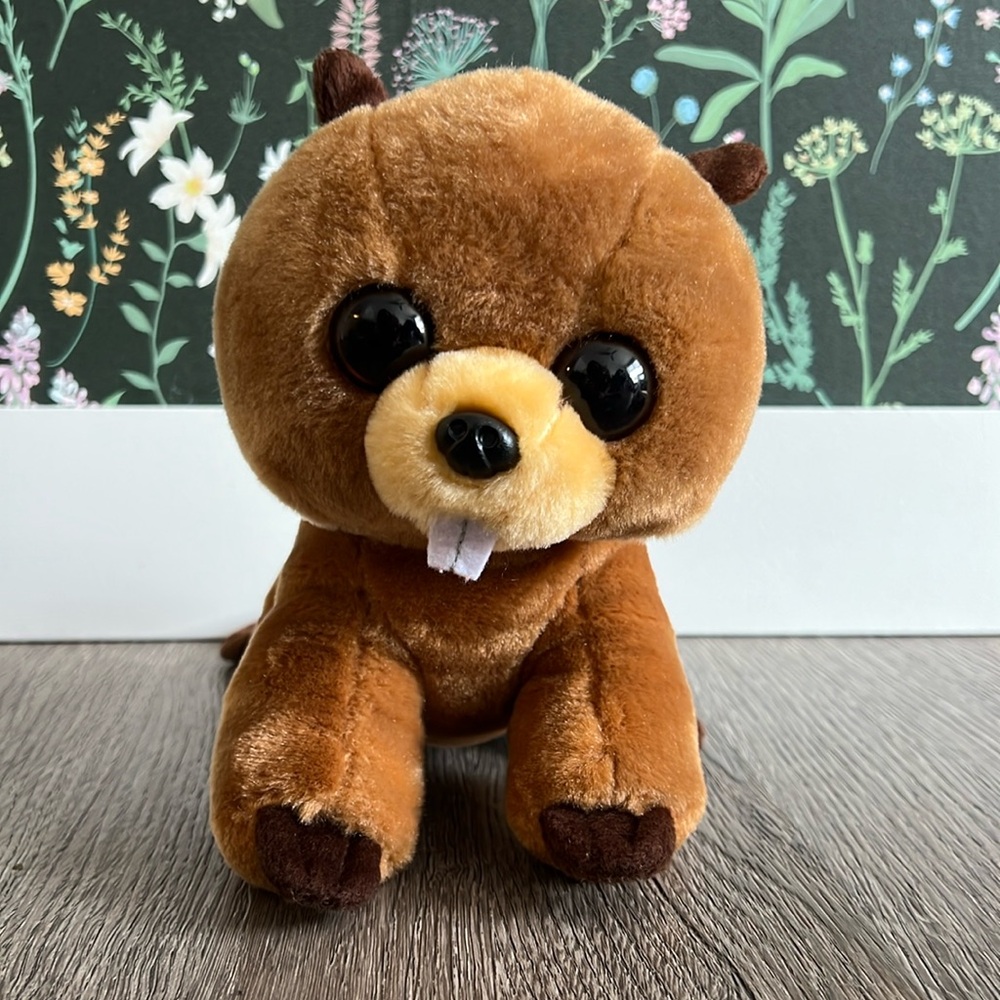 TY VelveTy Richie beaver plush 2017 TY INC.
Beanie plushie.